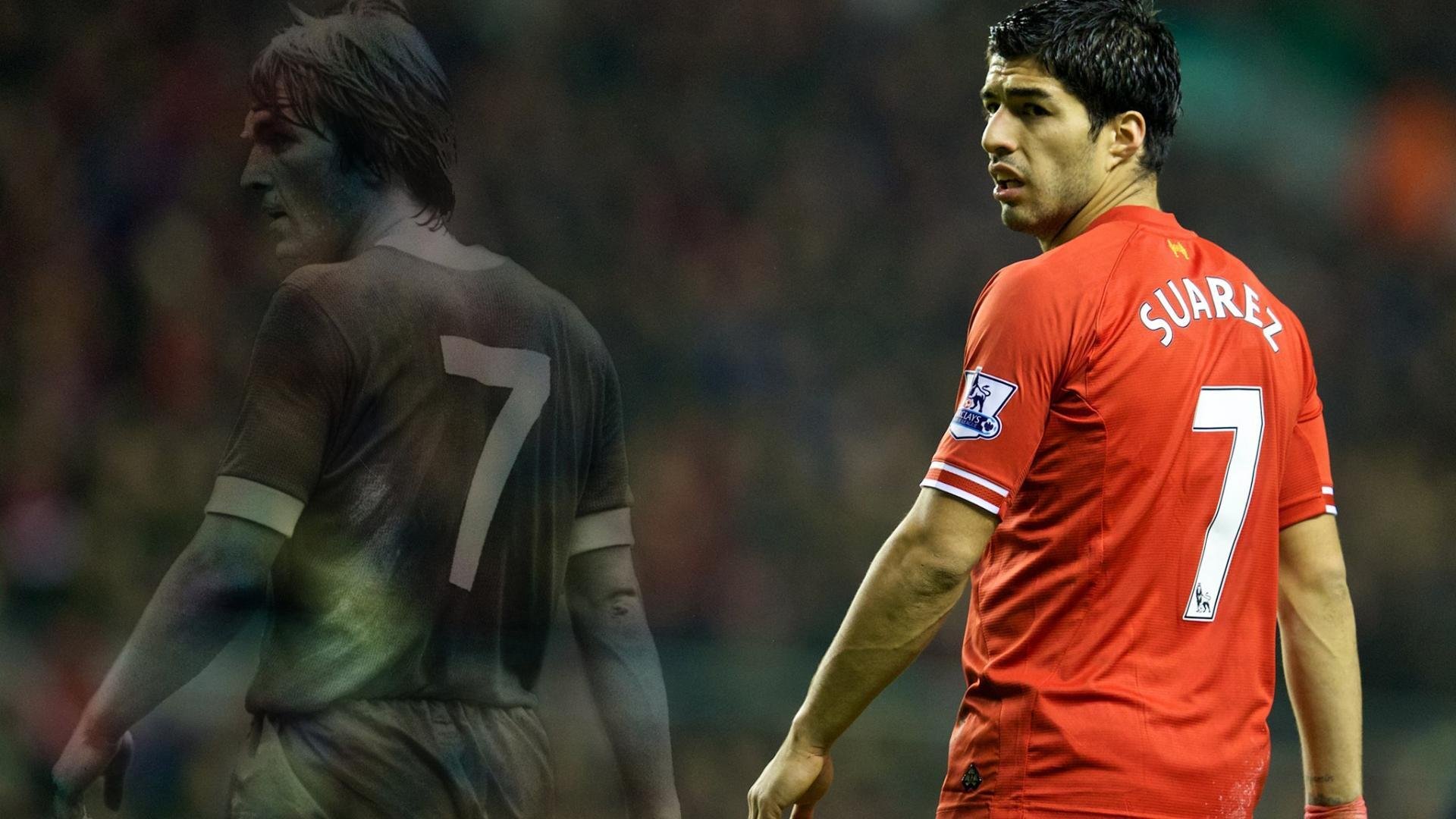 墨西哥马术协会举办国际马术科技大会，推动行业技术交流与合作。