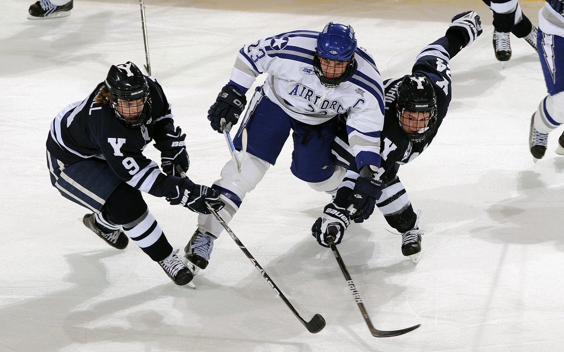 体育新闻中心支持智慧运动会内容解决方案落地,智力运动会新闻稿