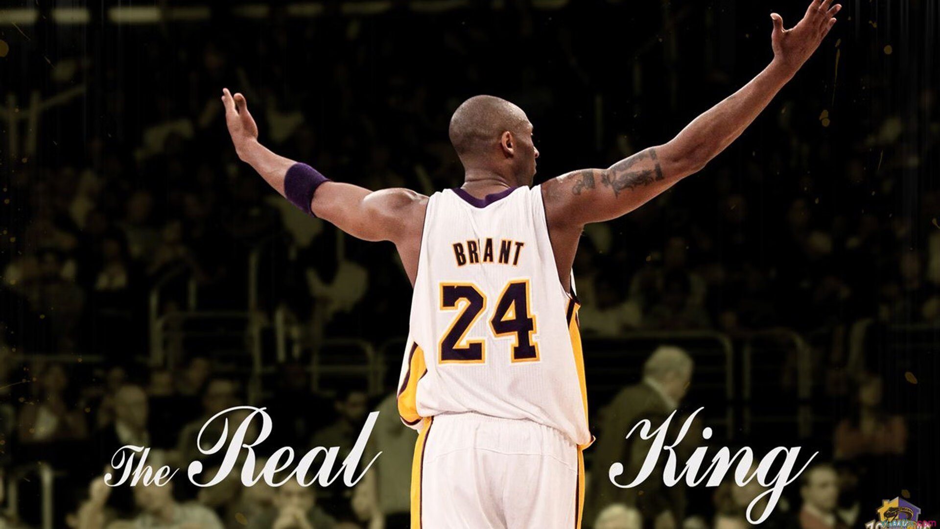 凯恩·瑞安：用耐心与精准打破对方防线，展现全黑队新气象，凯恩 秃